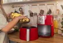 Les raisons du succès des friteuses à air expliquées news-14092024-052807