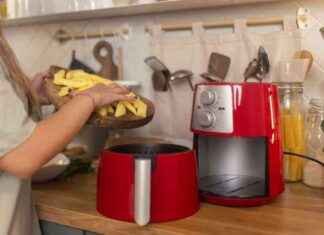 Les raisons du succès des friteuses à air expliquées news-14092024-052807