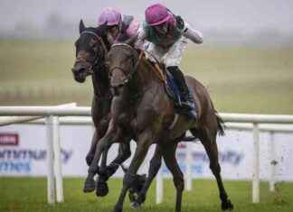 Les Randonneurs Avertis du Sommet à Atteindre news-14092024-121949