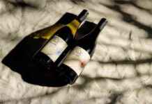 Boisson idéale pour pique-niques estivaux : recette rafraîchissante et facile news-14092024-215331