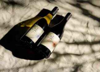 Boisson idéale pour pique-niques estivaux : recette rafraîchissante et facile news-14092024-215331