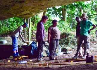 Exploration de l’histoire commune des hommes et de la forêt au Gabon news-15092024-015303