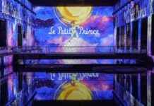 Exposition immersive du Petit Prince à Bordeaux: Découvrez l’univers magique! news-15092024-035314