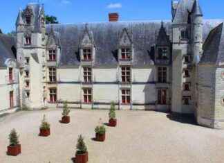 Château de Goulaine : premier Château de la Loire à découvrir news-15092024-075529