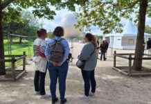 Adieu au ballon des Tuileries: les Franciliens et touristes témoignent du changement à Paris news-17092024-023930