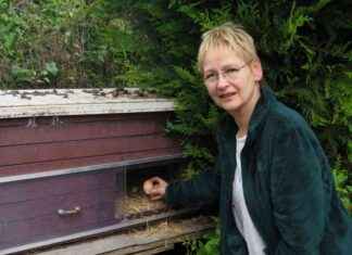 Interdiction de manger les œufs de poule en Seine-et-Marne: une habitante lance l’alerte news-17092024-084215