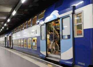 Homme poignardé dans gare RER D en Essonne : agresseur en garde à vue news-17092024-174528