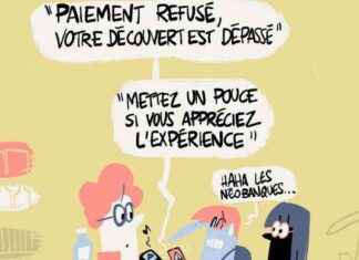 Banques en ligne: comment Revolut et N26 tentent de monétiser leurs services news-17092024-194340