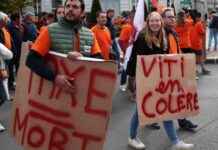 Les viticulteurs de Cognac en crise manifestent pour rencontrer Barnier news-17092024-214942