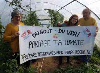 Événement « Partage ta tomate » par le collectif Stop Tomates Industrielles à Isigny-le-Buat news-18092024-180704