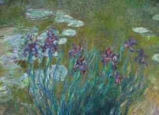 Expositions d’Art Moderne: Une Galerie présente deux collections uniques news-18092024-220849