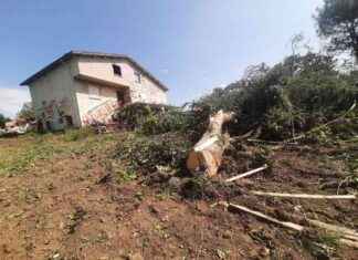 Intervention de la gendarmerie dans la dernière ZAD de l’A69 : individu gravement blessé news-18092024-220923