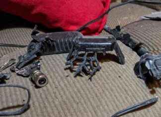 Comment Israël a piégé le Hezbollah avec des bipeurs libanais et un cheval de Troie hongrois news-20092024-041216