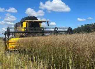 Agriculture en Île-de-France: Aide de 1.500€ aux céréaliers – France Bleu news-20092024-082746