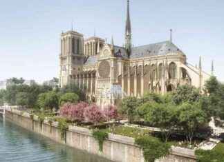 Découvrez l’identité du poète retrouvé à Notre-Dame news-20092024-221647