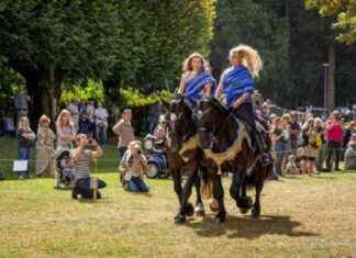Les majestueux Percherons du Pays Mêlois à la Ferme de Rai news-20092024-221716