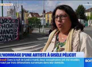 Fresque murale à Gentilly en soutien à Gisèle Pélicot news-21092024-102302