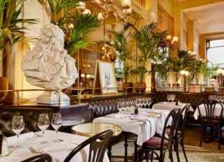 Découvrez la brasserie légendaire liée à un ancien ministre propriétaire des murs news-22092024-200229