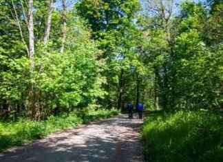 Enquête ouverte pour homicide volontaire après la découverte du corps d’une jeune femme au bois de Boulogne news-23092024-081256