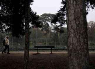 L’insécurité chronique du bois de Boulogne: derrière le meurtre de Philippine news-24092024-231411