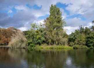 Étudiante retrouvée morte au bois de Boulogne : suspect interpellé en Suisse news-24092024-231717