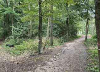 Le meurtrier présumé de Philippine viole une étudiante de 23 ans dans une forêt news-25092024-200945