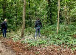 Parcours du suspect dans le meurtre de Philippine: analyse détaillée news-26092024-013721