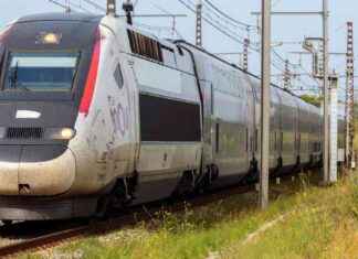 Trafic reprend sur la ligne TGV Sud-Est après un choc anormal dans l’Yonne news-28092024-075939