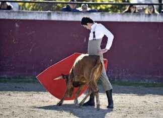 L’unique toréro originaire de la région de Toulouse et du Lauragais news-06102024-100712