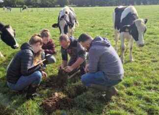 Formation agricole à Pontivy: les apprentis agriculteurs se familiarisent avec les fondamentaux news-11102024-053129