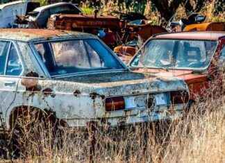 Casse illégale près de Beuzeville : danger pour l’environnement news-23102024-174542