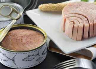 Le thon en conserve en Europe : Risque de contamination au mercure selon les ONG news-29102024-102813