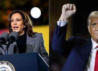 Élection Présidentielle Américaine : Informations Clés à Connaître news-01112024-074308