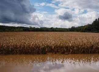 Comment Paris crée des «greniers» alimentaires pour prévenir les crises à venir news-01112024-214407