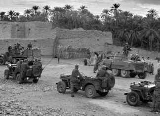 La guerre d’Algérie: Les origines de la première balle à Aurès le 1er novembre 1954 news-03112024-091052
