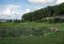 Renaissance du Golf de Gard grâce à des investissements majeurs news-03112024-204353