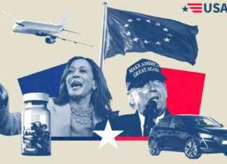 Impact de l’élection présidentielle américaine sur les économies européenne et française news-05112024-143010