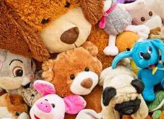 Où chiner ce weekend en Seine-Maritime : Foires et bourses aux jouets news-08112024-223206