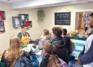 Dole : Motifs de l’invasion de plus de 100 jeunes dans les commerces du centre-ville news-14112024-224735