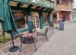 Salon de Tatouage et Bar à Morbihan: Un Nouveau Concept Unique news-16112024-063623