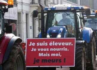 La colère du monde agricole: actions symboliques et revendications profondes news-18112024-115918
