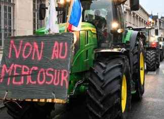 Quels produits de l’Accord UE-Mercosur posent des risques pour la santé alimentaire? news-18112024-191025