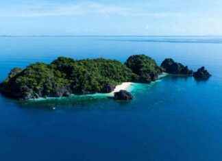 Koh-Lanta sur TF1 : Les finalistes prêts pour l’épreuve des poteaux news-27112024-105915