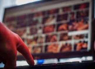 Condamnation d’un éleveur de 65 ans pour relations sexuelles avec cavalière de 15 ans condamnation-dun-leveur-de-65-ans-pour-relations-sexuelles-avec-cavalire-de-15-ans