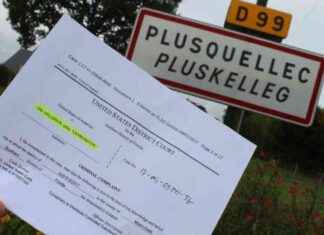 Le procès de Gal Vallerius, le baron de la drogue touchant le RSA le-procs-de-gal-vallerius-le-baron-de-la-drogue-touchant-le-rsa