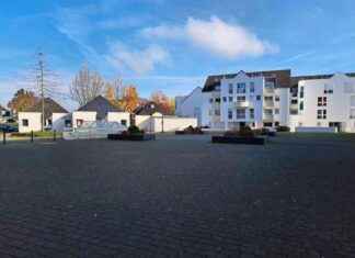 Projet de végétalisation et parkings à Vannes : investissement d’1 million d’euros projet-de-vgtalisation-et-parkings-vannes-investissement-d1-million-deuros