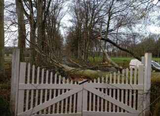 Tempête Darragh: Dégâts au château de la Rouërie tempte-darragh-dgts-au-chteau-de-la-rourie
