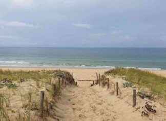 Alerte météo : vents violents jusqu’à 100 km/h en Gironde alerte-mto-vents-violents-jusqu-100-kmh-en-gironde