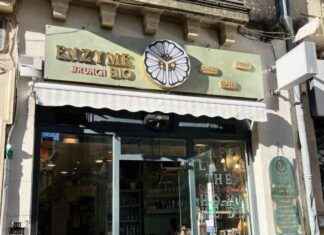 Enzyme Montpellier: Le spot gourmand pour une santé et plaisir harmonieux enzyme-montpellier-le-spot-gourmand-pour-une-sant-et-plaisir-harmonieux