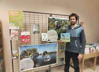 Exposition nature et prêt de jeux de société à la médiathèque exposition-nature-et-prt-de-jeux-de-socit-la-mdiathque